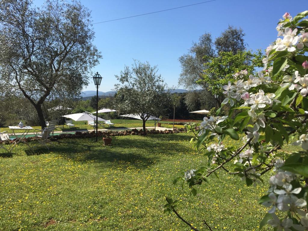 La Canonica Di San Michele Monteriggioni Buitenkant foto