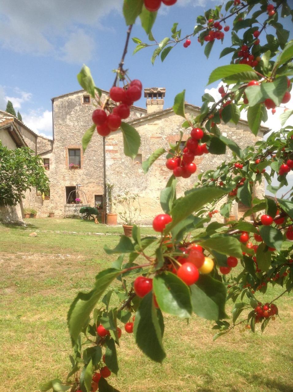 La Canonica Di San Michele Monteriggioni Buitenkant foto